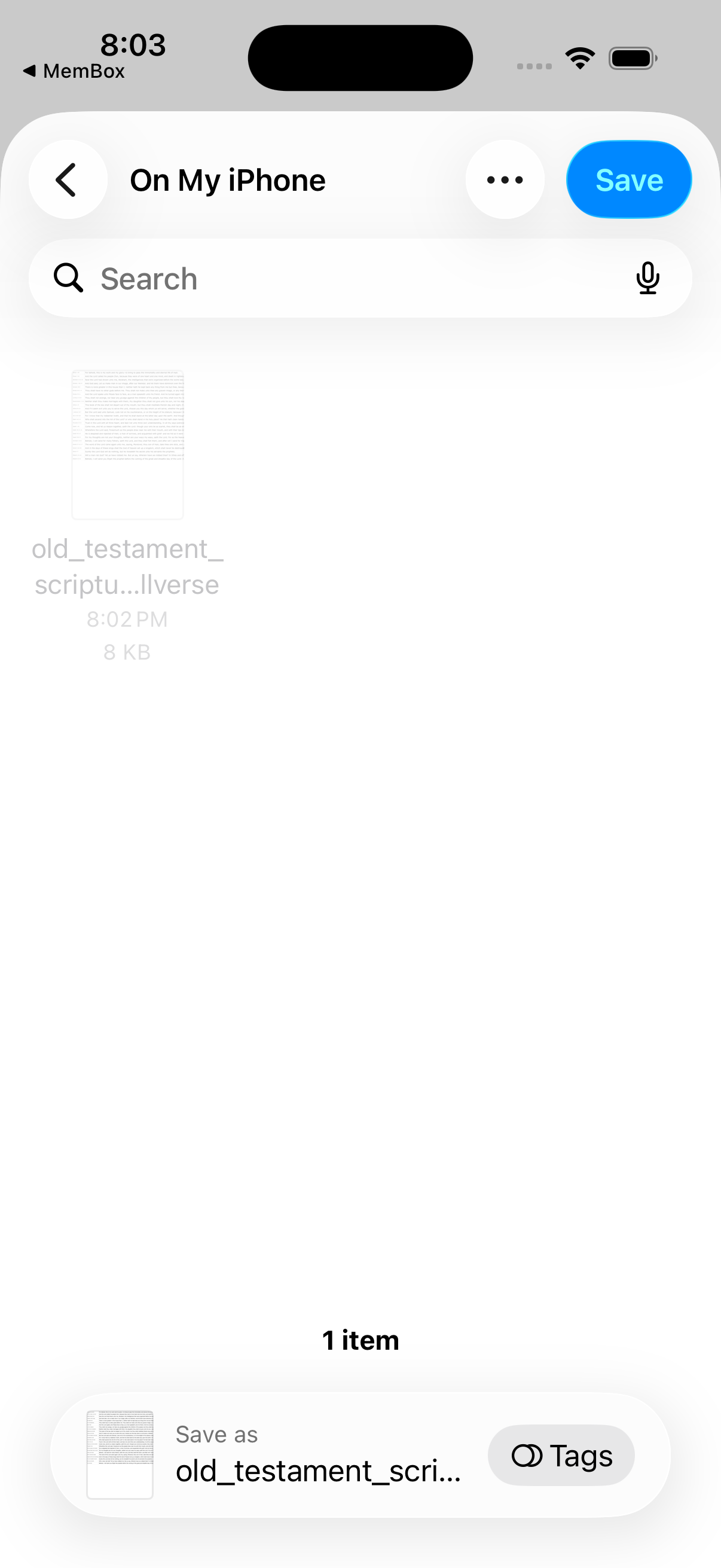 Save the downloaded CSV in Files on iPhone